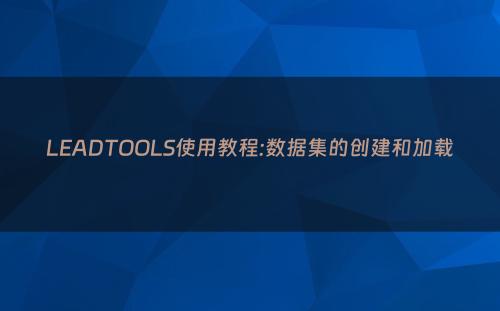 LEADTOOLS使用教程:数据集的创建和加载