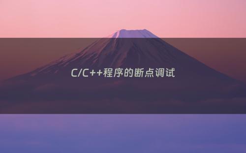 C/C++程序的断点调试