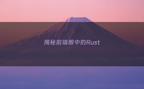 揭秘前端眼中的Rust