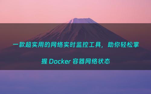 一款超实用的网络实时监控工具，助你轻松掌握 Docker 容器网络状态
