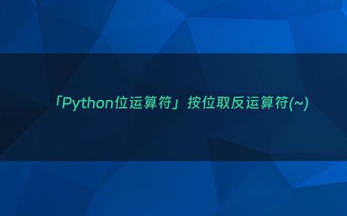 「Python位运算符」按位取反运算符(~)