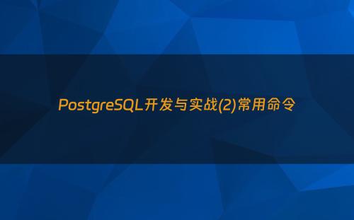 PostgreSQL开发与实战(2)常用命令