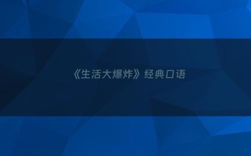 《生活大爆炸》经典口语