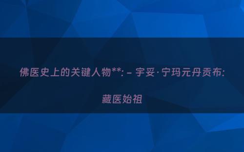 佛医史上的关键人物**: - 宇妥·宁玛元丹贡布:藏医始祖