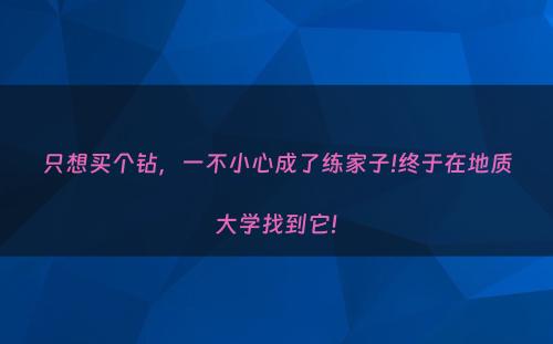只想买个钻，一不小心成了练家子!终于在地质大学找到它!