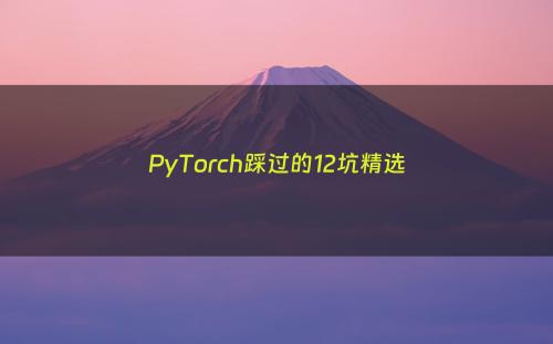 PyTorch踩过的12坑精选