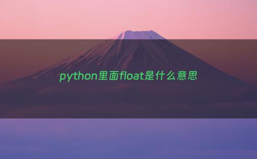 python里面float是什么意思