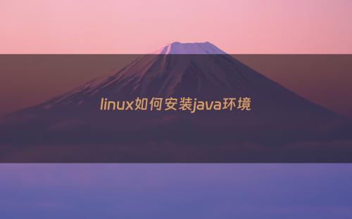 linux如何安装java环境