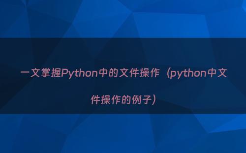 一文掌握Python中的文件操作（python中文件操作的例子）