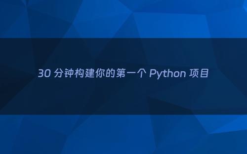 30 分钟构建你的第一个 Python 项目