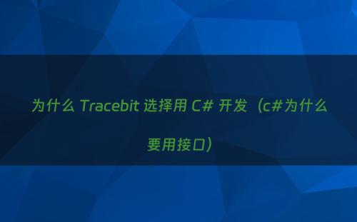 为什么 Tracebit 选择用 C# 开发（c#为什么要用接口）