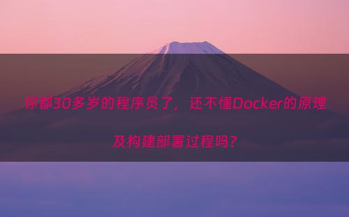 你都30多岁的程序员了，还不懂Docker的原理及构建部署过程吗?