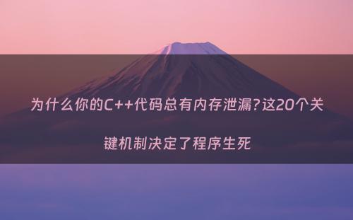 为什么你的C++代码总有内存泄漏?这20个关键机制决定了程序生死