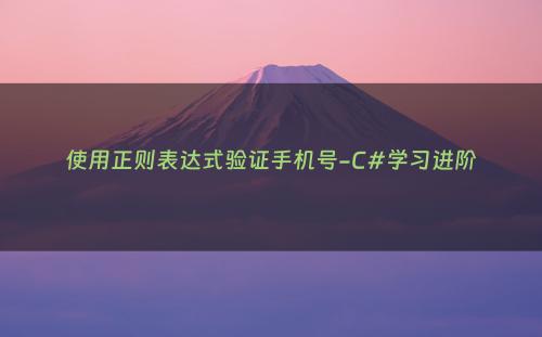 使用正则表达式验证手机号-C#学习进阶