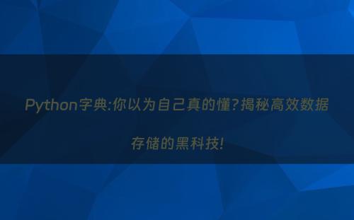 Python字典:你以为自己真的懂?揭秘高效数据存储的黑科技!