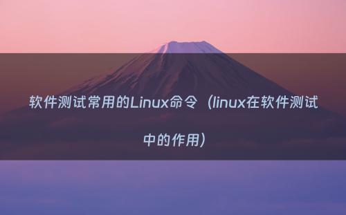 软件测试常用的Linux命令（linux在软件测试中的作用）