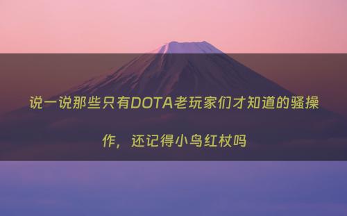 说一说那些只有DOTA老玩家们才知道的骚操作，还记得小鸟红杖吗