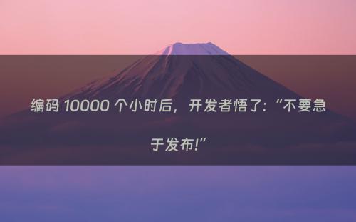 编码 10000 个小时后，开发者悟了:“不要急于发布!”