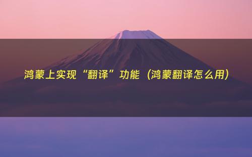 鸿蒙上实现“翻译”功能（鸿蒙翻译怎么用）
