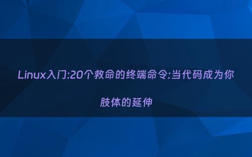 Linux入门:20个救命的终端命令:当代码成为你肢体的延伸