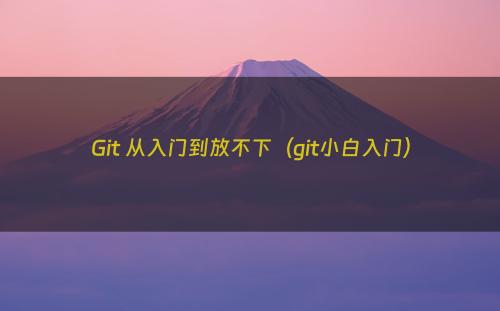 Git 从入门到放不下（git小白入门）