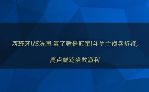 西班牙VS法国:赢了就是冠军!斗牛士损兵折将，高卢雄鸡坐收渔利