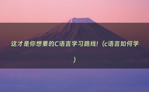 这才是你想要的C语言学习路线!（c语言如何学）
