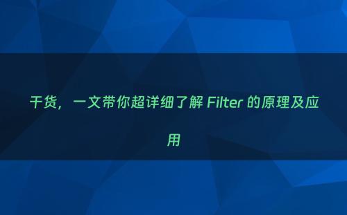 干货，一文带你超详细了解 Filter 的原理及应用