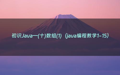 初识Java—(十)数组(1)（java编程教学1-15）