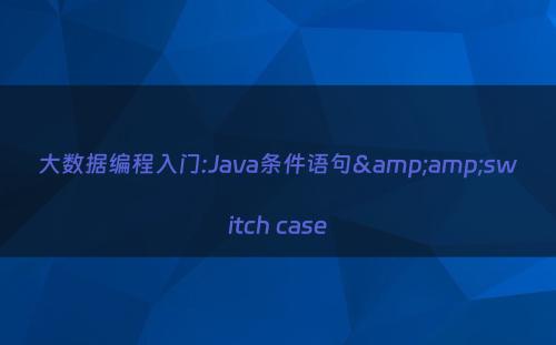 大数据编程入门:Java条件语句&amp;switch case