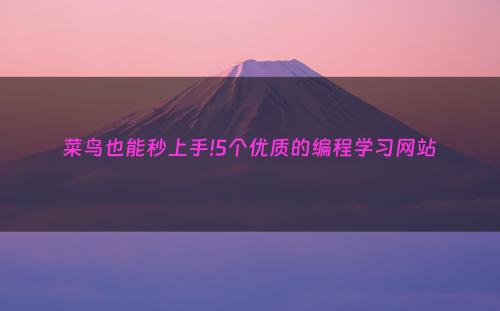 菜鸟也能秒上手!5个优质的编程学习网站