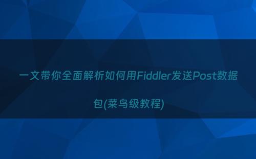 一文带你全面解析如何用Fiddler发送Post数据包(菜鸟级教程)
