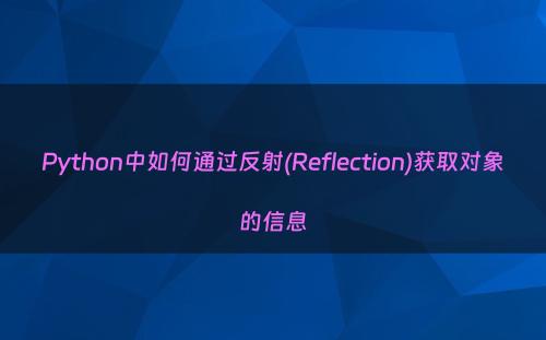 Python中如何通过反射(Reflection)获取对象的信息