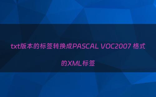txt版本的标签转换成PASCAL VOC2007 格式的XML标签