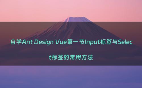 自学Ant Design Vue第一节Input标签与Select标签的常用方法