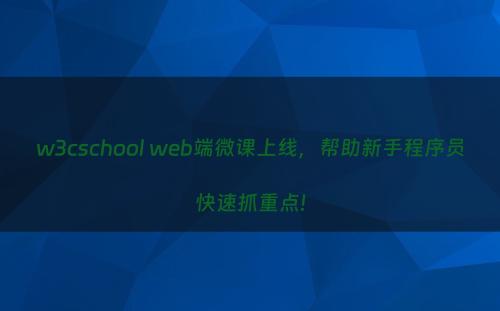 w3cschool web端微课上线，帮助新手程序员快速抓重点!