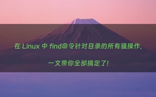 在 Linux 中 find命令针对目录的所有骚操作，一文带你全部搞定了!