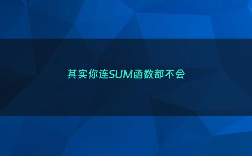 其实你连SUM函数都不会