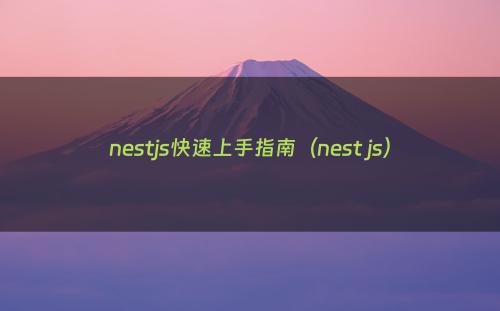 nestjs快速上手指南（nest js）