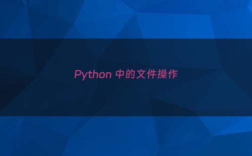 Python 中的文件操作
