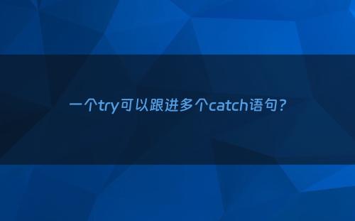 一个try可以跟进多个catch语句?