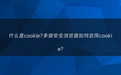 什么是cookie?多御安全浏览器如何启用cookie?