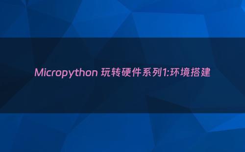 Micropython 玩转硬件系列1:环境搭建