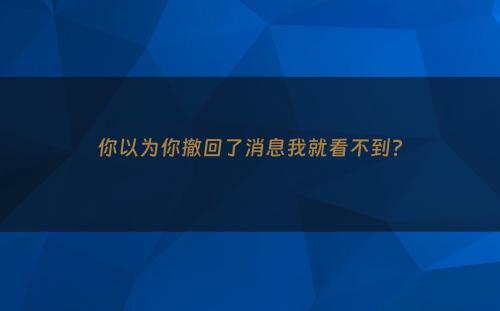 你以为你撤回了消息我就看不到?