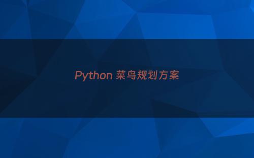 Python 菜鸟规划方案