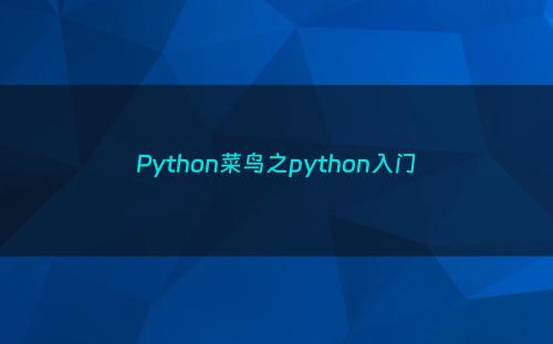 Python菜鸟之python入门