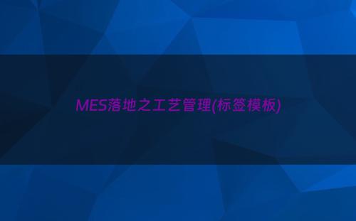 MES落地之工艺管理(标签模板)