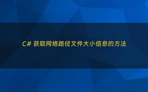 C# 获取网络路径文件大小信息的方法