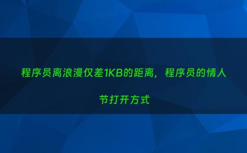 程序员离浪漫仅差1KB的距离，程序员的情人节打开方式