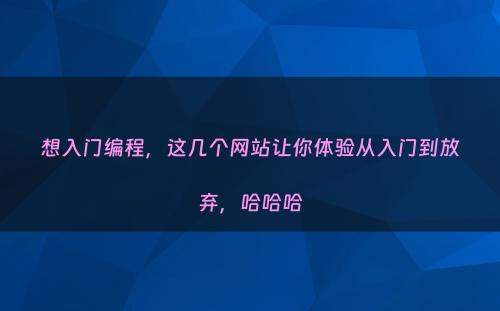 想入门编程，这几个网站让你体验从入门到放弃，哈哈哈